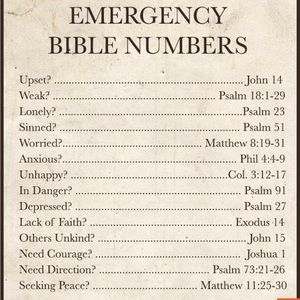 Meet your Posher, Irma